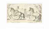 Le Galop uni a gauche - Гравюра (XVIII век, Франция) артикул 5116b.
